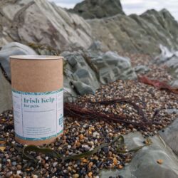 kelp for dogs