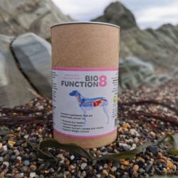 BioFunction8 for gut health issues in dogs