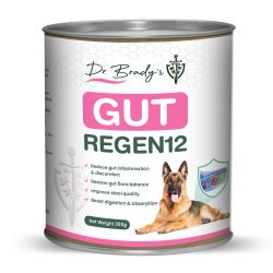 Dr Brady's Gut Regen 12